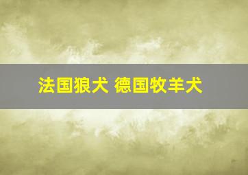 法国狼犬 德国牧羊犬